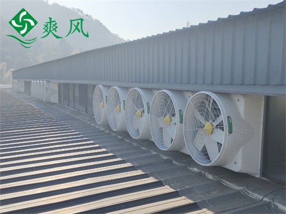 液压零部件车间玻璃钢负压风机通风降温 (8)
