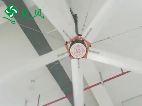 健服云食品仓库引入爽风工业大吊扇，低成本清凉度夏
